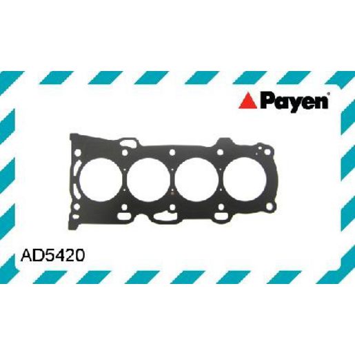 Payen Cylinder Head Gasket AD5420