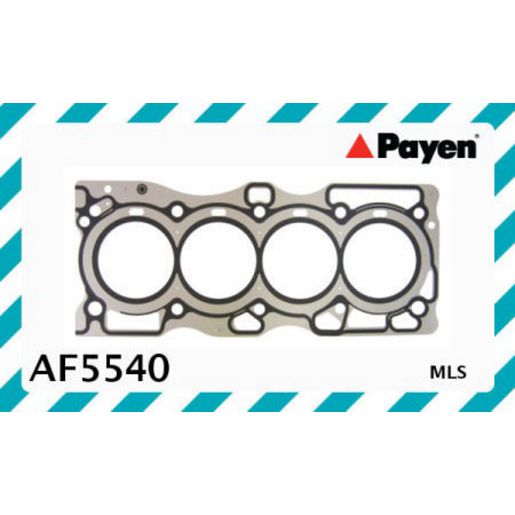 Payen Cylinder Head Gasket AF5540