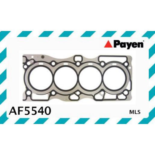 Payen Cylinder Head Gasket AF5540