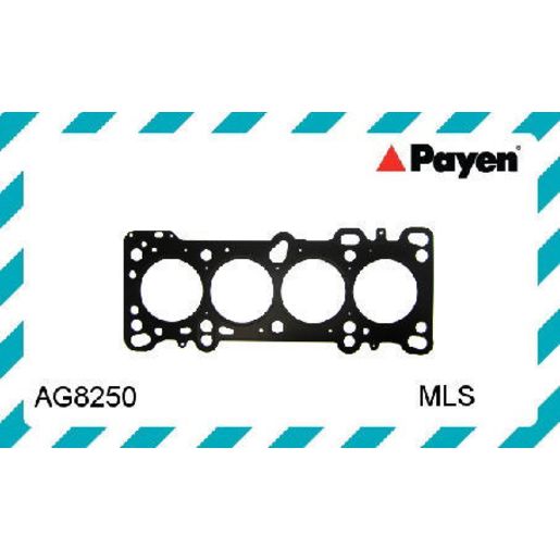 Payen Cylinder Head Gasket AG8250