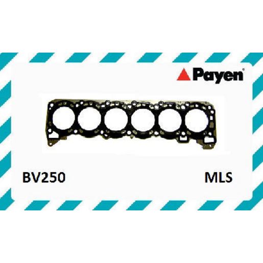 Payen Cylinder Head Gasket BV250