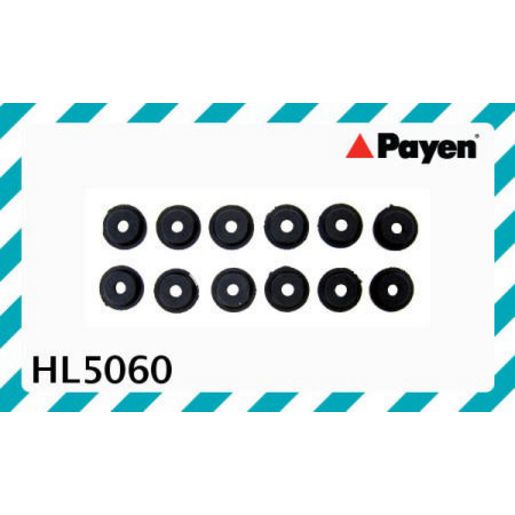 Payen Valve Cover Bolt Seal/Washer HL5060
