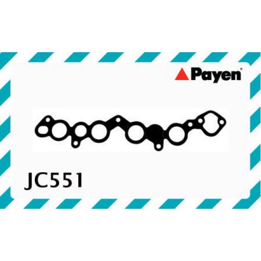 Payen Intake Manifold Gasket JC551