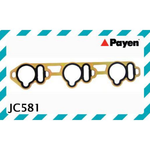 Payen Manifold Gasket JC581