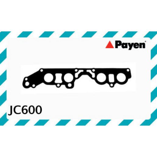 Payen Manifold Gasket Set JC600
