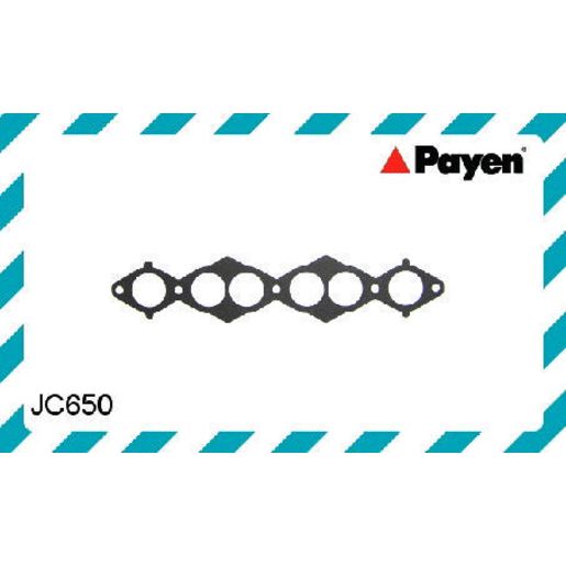Payen Manifold Gasket JC650