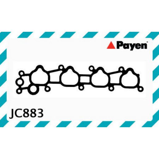 Payen Manifold Gasket JC883