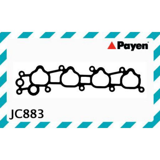 Payen Manifold Gasket JC883
