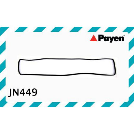 Payen Valve Cover Gasket JN449