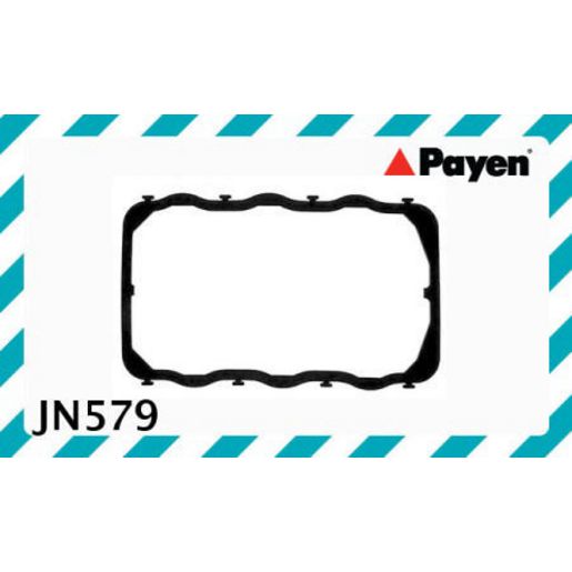 Payen Valve Cover Gasket JN579