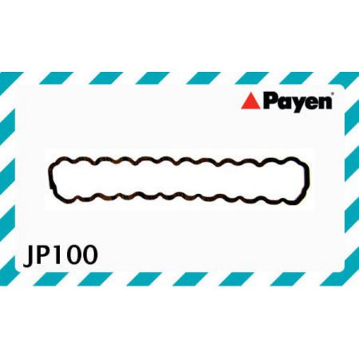 Payen Valve Cover Gasket JP100