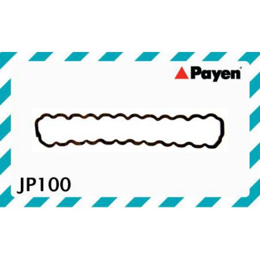 Payen Valve Cover Gasket JP100