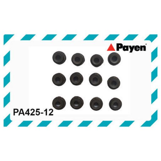 Payen Seal Set-Valve Stem PA425-12