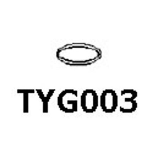 Gasket TYG003