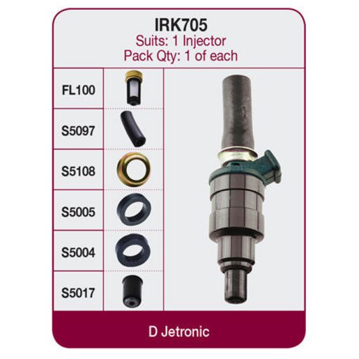 GOSS Injector Repair Kit IRK705