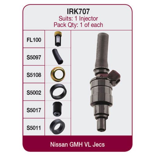 GOSS Injector Repair Kit IRK707