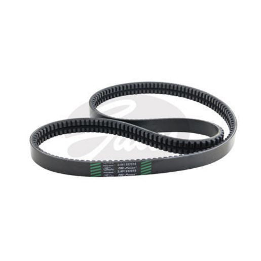 Gates Tri-Power V-Belt 2/AV15X2010