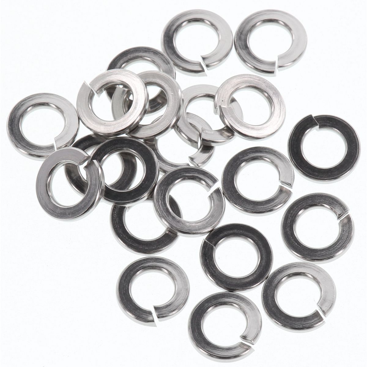 Champion Fasteners Washer Spring Stainless Steel 6mm 316/A4 CSP118