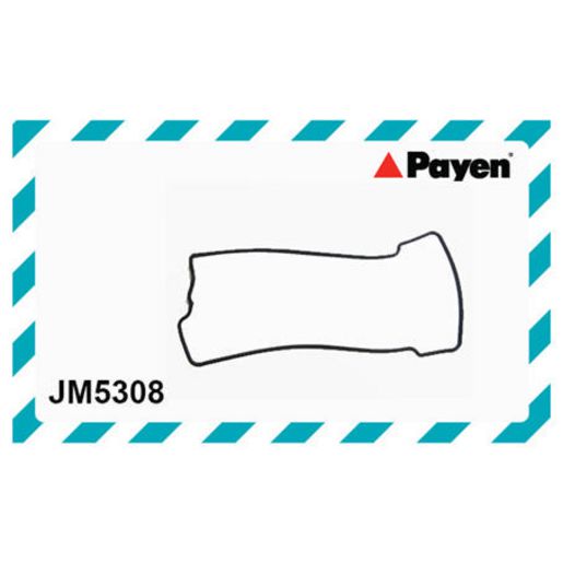 Payen Rocker Cover Gasket JM5308