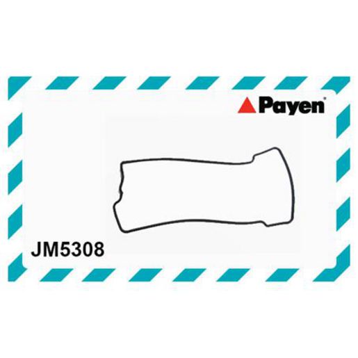 Payen Rocker Cover Gasket JM5308