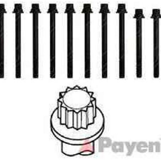 Payen Bolt Set-Cylinder Head HBS436