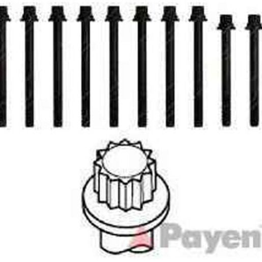 Payen Bolt Set-Cylinder Head HBS436