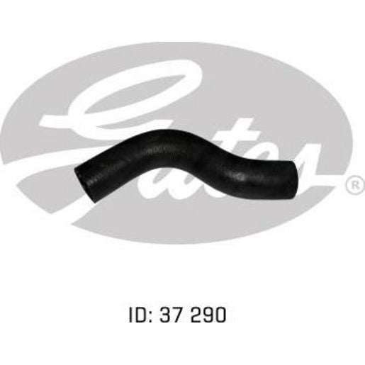 Gates Radiator Hose 9618