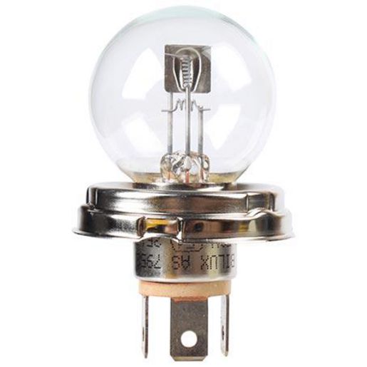 HELLA R2 Headlight Globe 24V 55/50W A2455/50