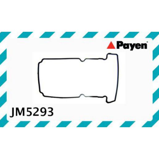 Payen Valve Cover Gasket JM5293