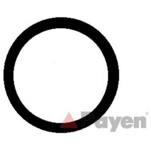Payen Manifold Gasket KG5337