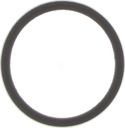 Dayco Thermostat Seal DTG90