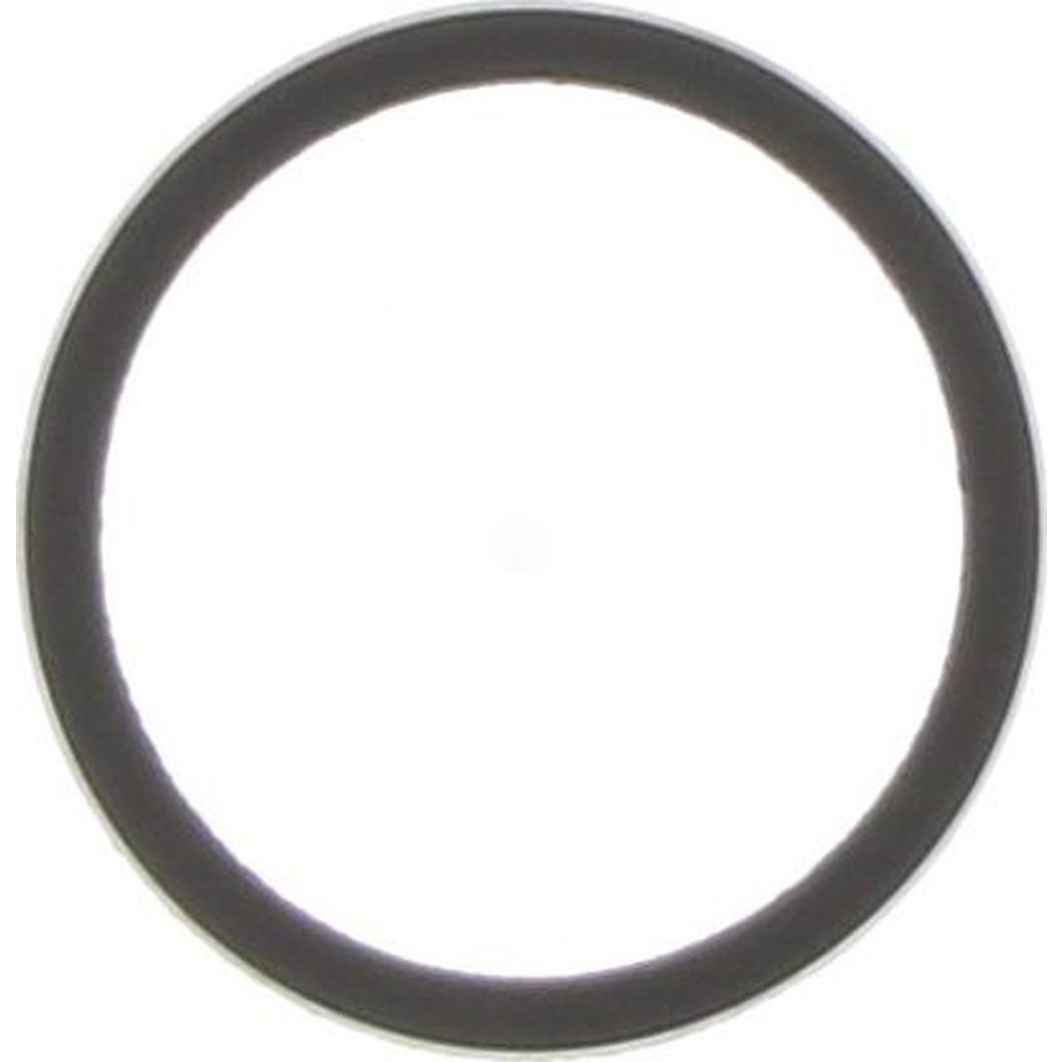 Dayco Thermostat Seal DTG90