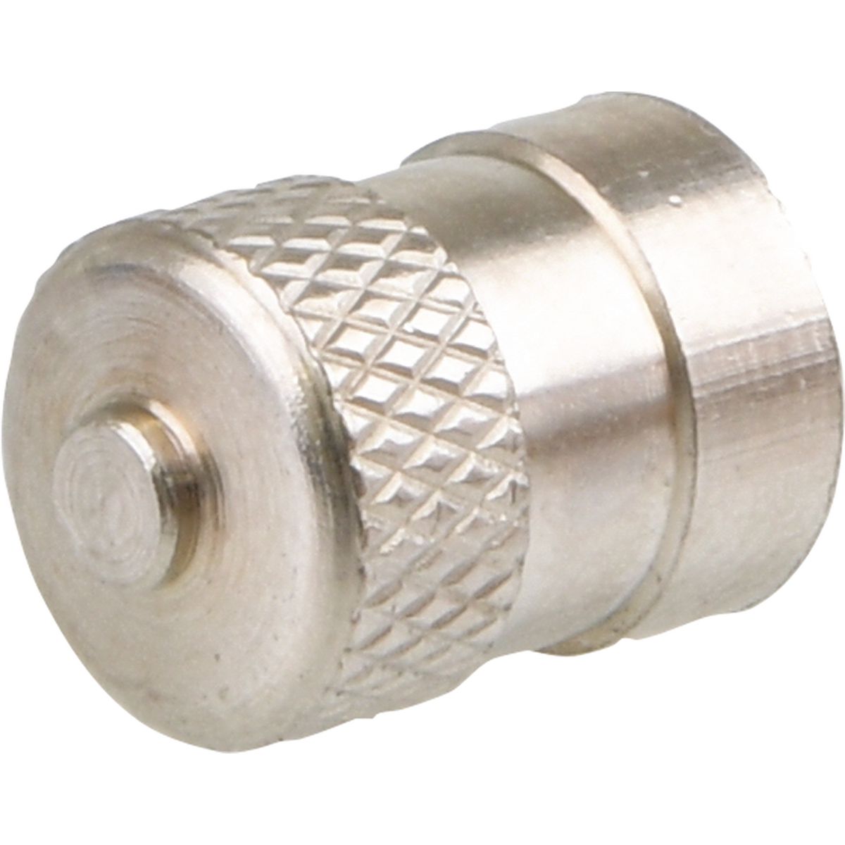 Baolong Bc Valve Cap -Metal (Pack Of 100) BAOTRVC3