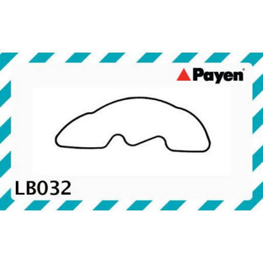 Payen Oil Pump Gasket LB032