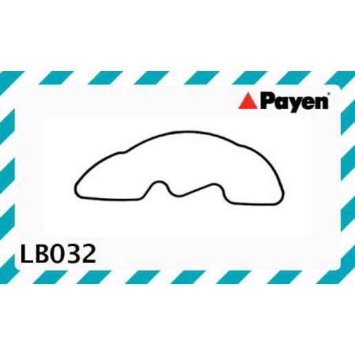 Payen Oil Pump Gasket LB032