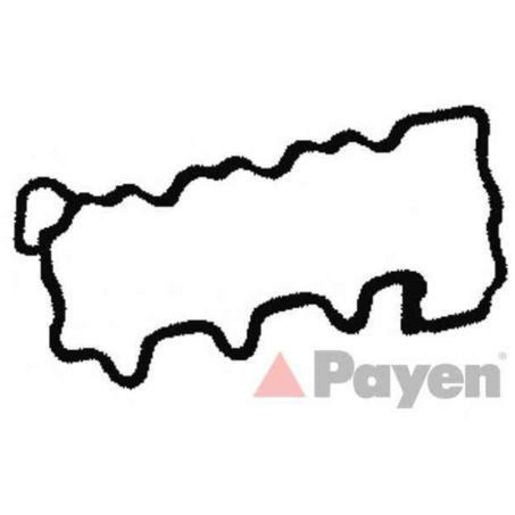 Payen Valve Cover Gasket JM5237