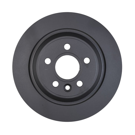 RDA OE Replacement Brake Rotor Single 302mm Rear RDA8015