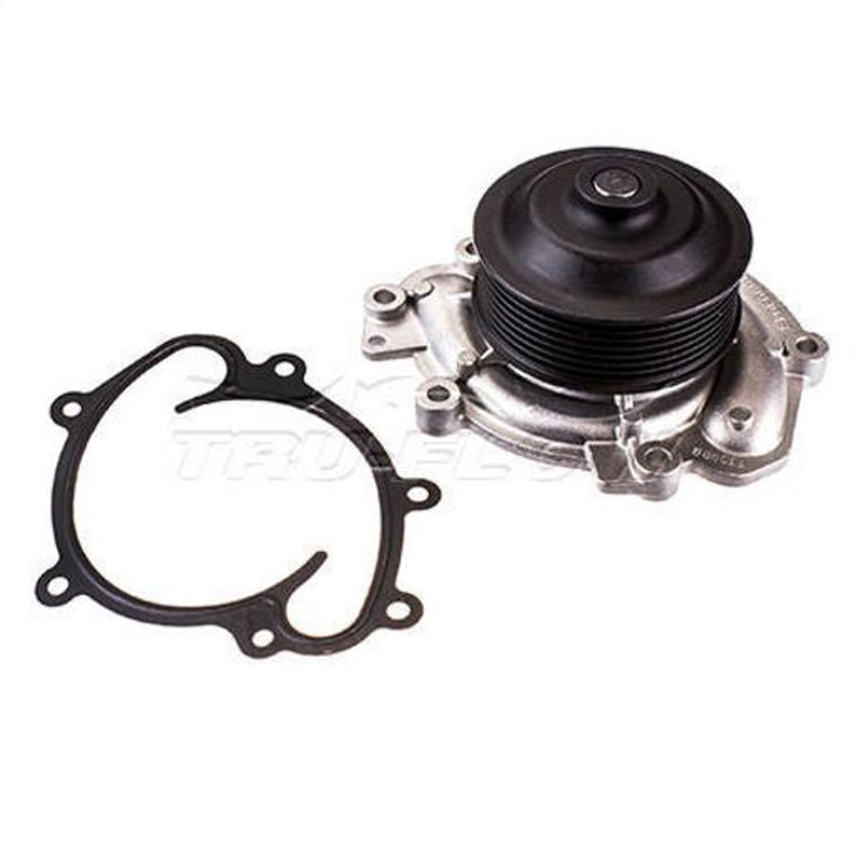 Tru-Flow Water Pump (Saleri Italy) TF8431