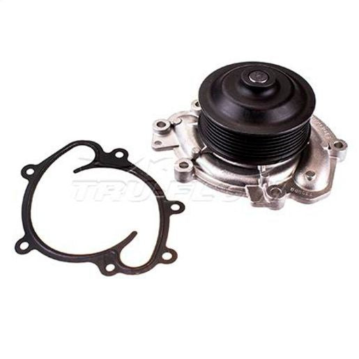 Tru-Flow Water Pump (Saleri Italy) TF8431