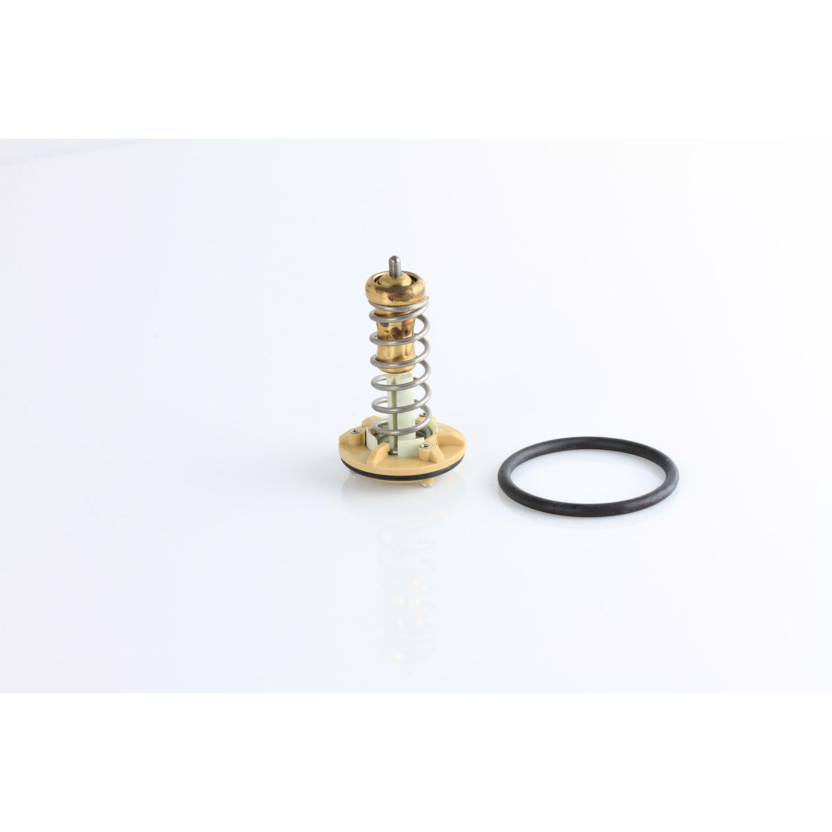 Tridon Thermostat TT1689-176