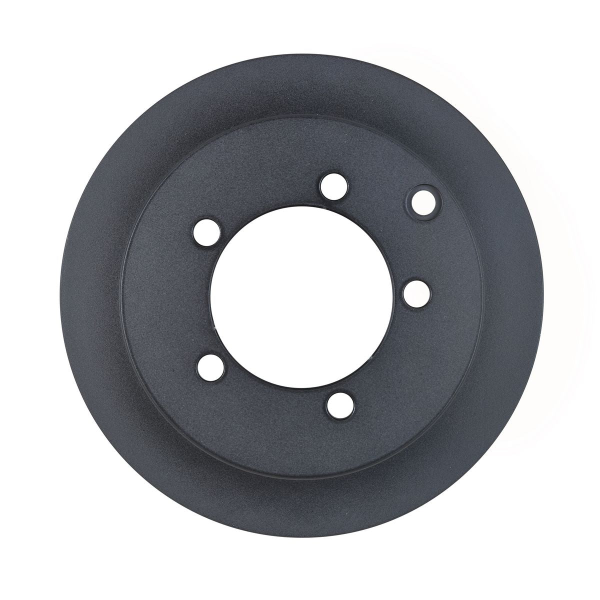 RDA OE Replacement Brake Rotor Pair 258mm Rear RDA426