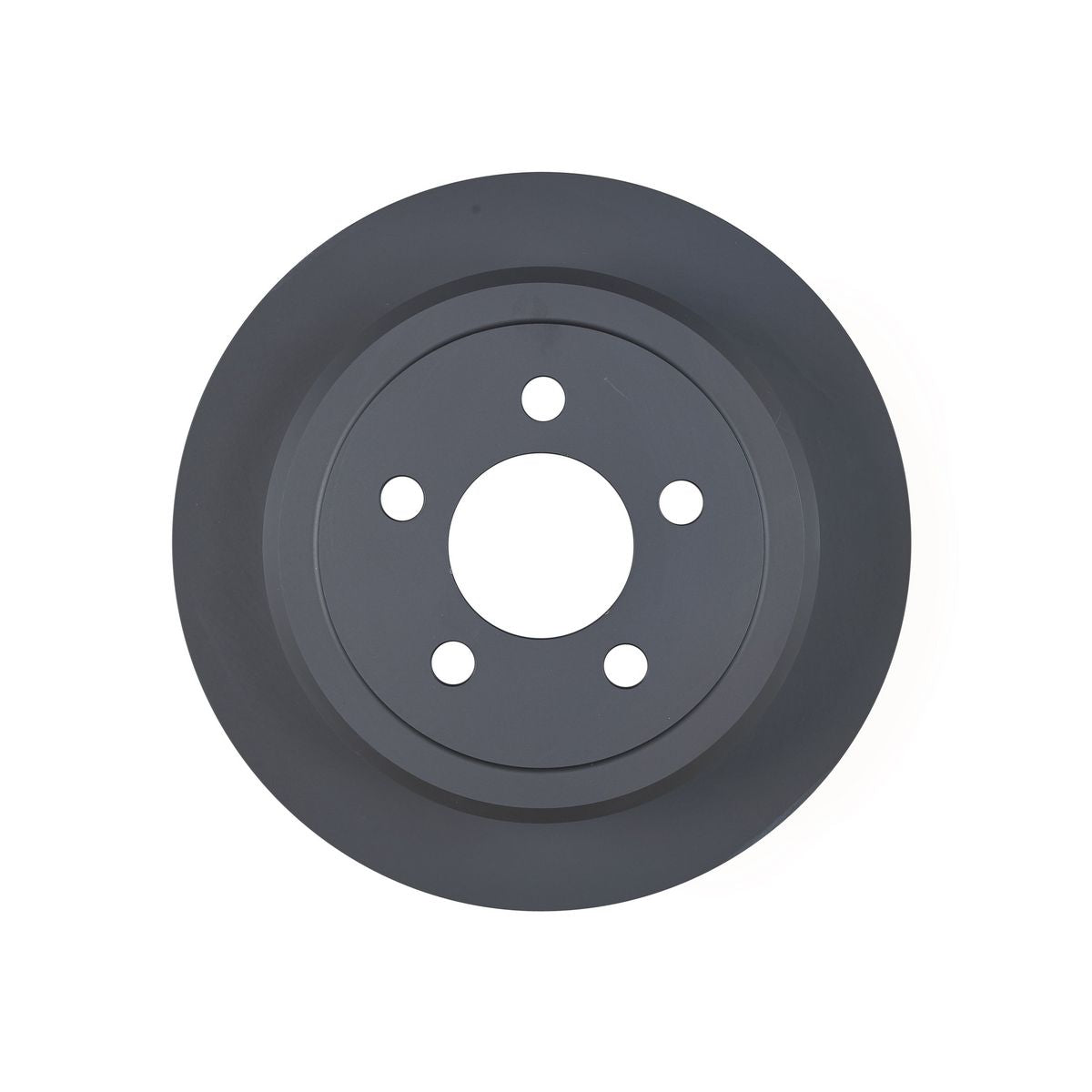 RDA OE Replacement Brake Rotor Pair 316mm Rear RDA7373
