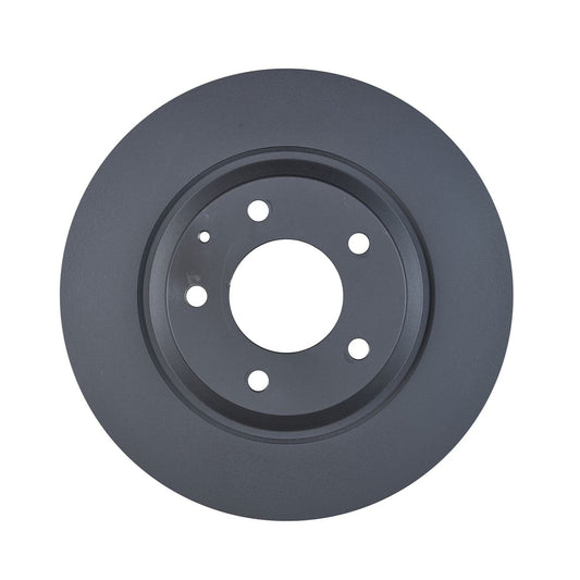 RDA OE Replacement Brake Rotor Single 300mm Rear RDA7943