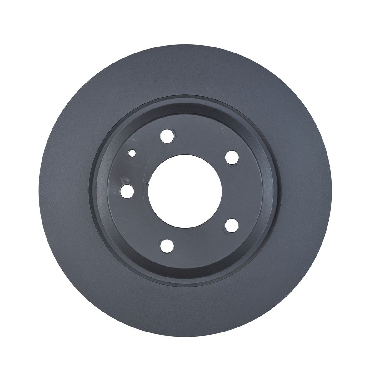 RDA OE Replacement Brake Rotor Pair 300mm Rear RDA7943
