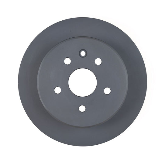 RDA OE Replacement Brake Rotor Single 307mm Rear RDA749