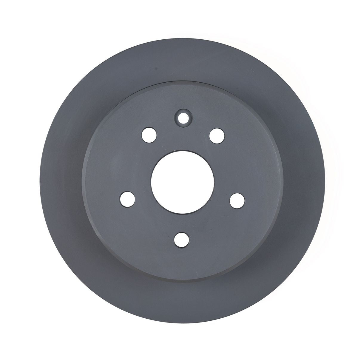 RDA OE Replacement Brake Rotor Pair 307mm Rear RDA749