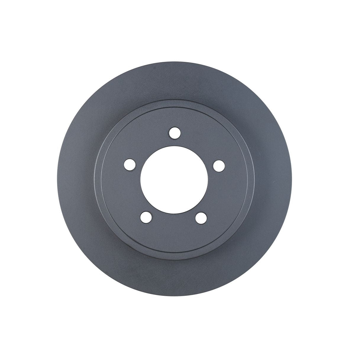 RDA OE Replacement Brake Rotor Pair 301mm Rear RDA7931