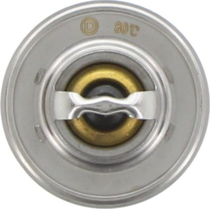 Dayco Thermostat DT156M
