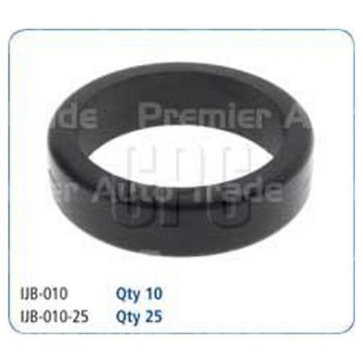 PAT Injector Body Seal (10 Pack) IJB-010