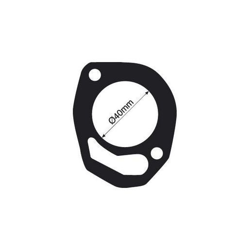 Tridon Thermostat Gasket TTG55